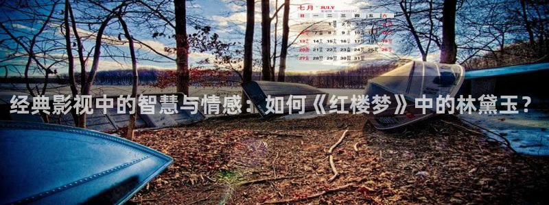 广州保利影城：经典影视中的智慧与情感：如何《红楼梦》中的林黛玉？