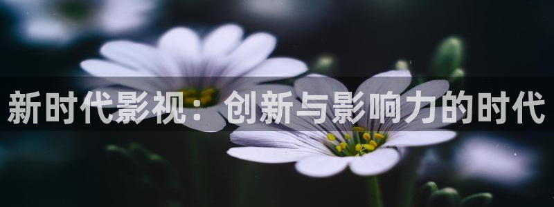 保利剧院酒店：新时代影视：创新与影响力的时代