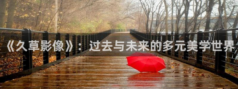 常州保利影城今日影讯：《久草影像》：过去与未来的多元美学世界